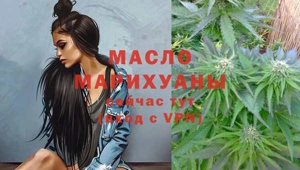 индика Богородицк