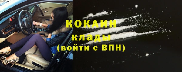 индика Богородицк