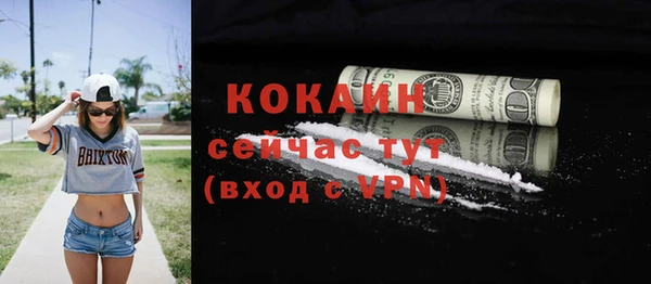 дживик Тобольск