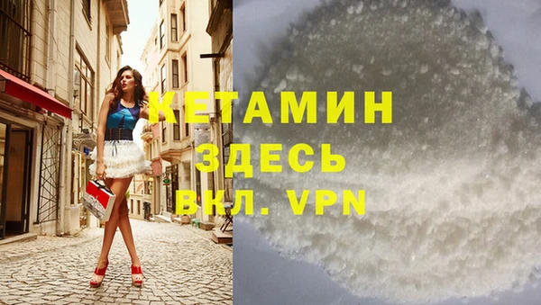 индика Богородицк