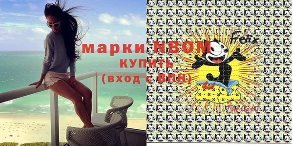индика Богородицк