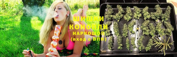 индика Богородицк