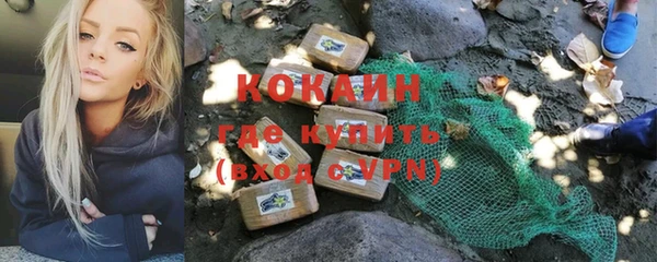 молекула духа Белоозёрский