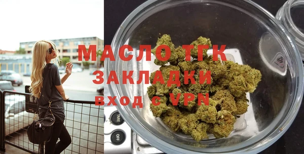 индика Богородицк