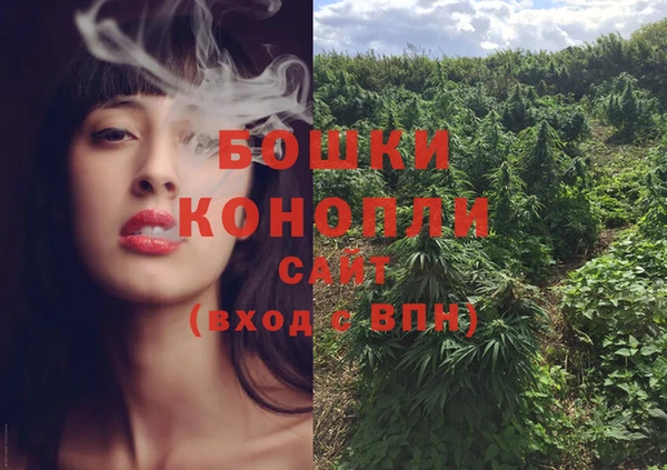 индика Богородицк