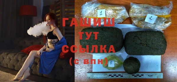 индика Богородицк