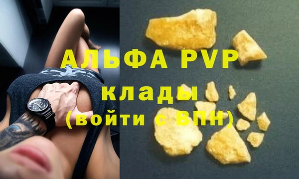 индика Богородицк