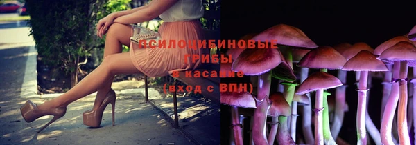 соль ск Богданович